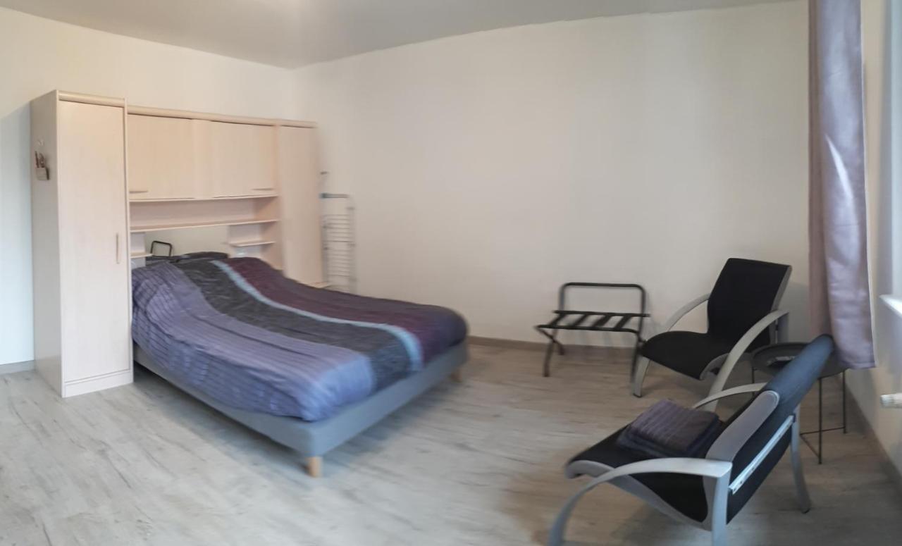 Apartmán Au Cosy De L'Est Avec Parking Colmar Exteriér fotografie